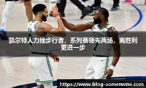 王中王资料大全