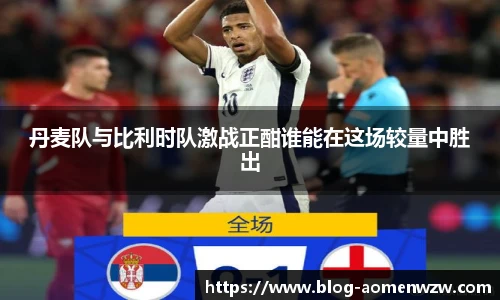 王中王资料大全