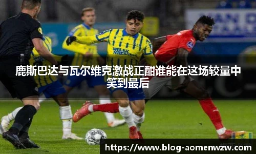 王中王资料大全