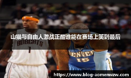 王中王资料大全